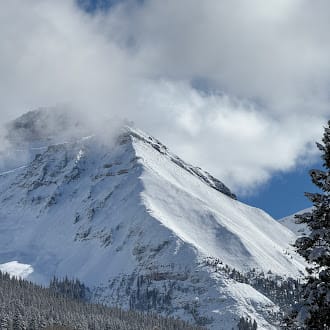 Observation photo 6