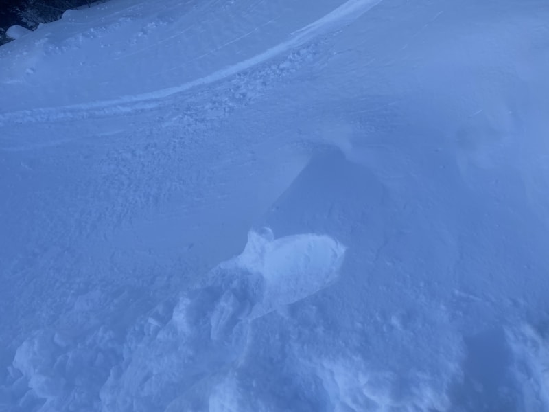 Observation photo 2
