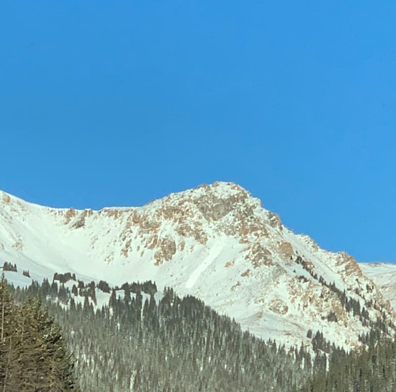 Observation photo 1