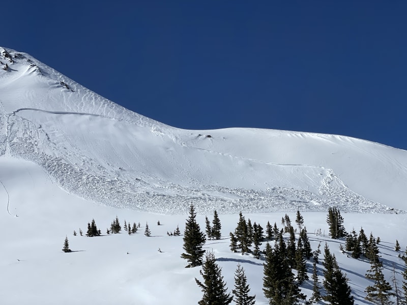 Observation photo 1