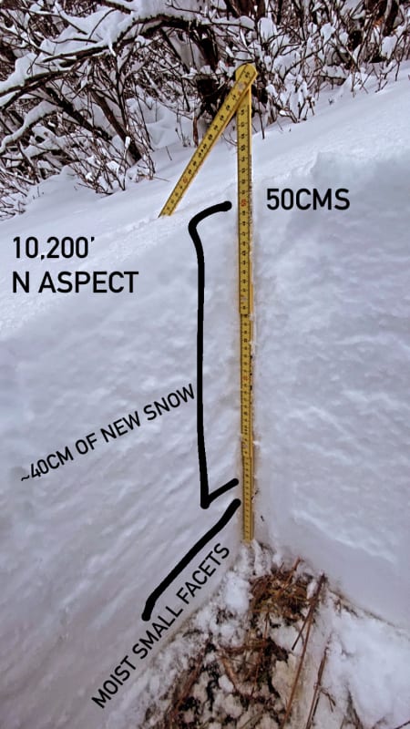 Observation photo 2