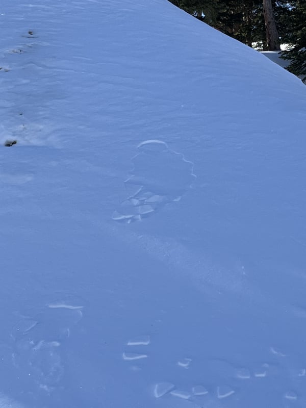 Observation photo 2