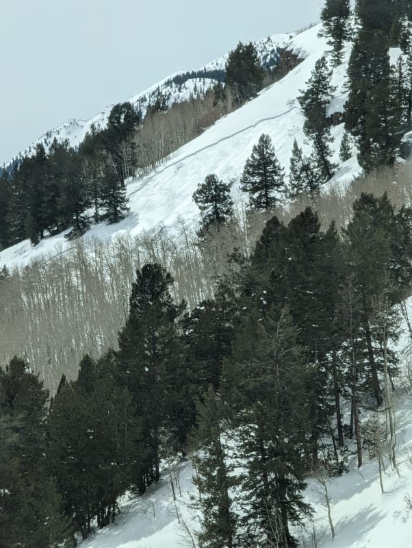 Observation photo 2