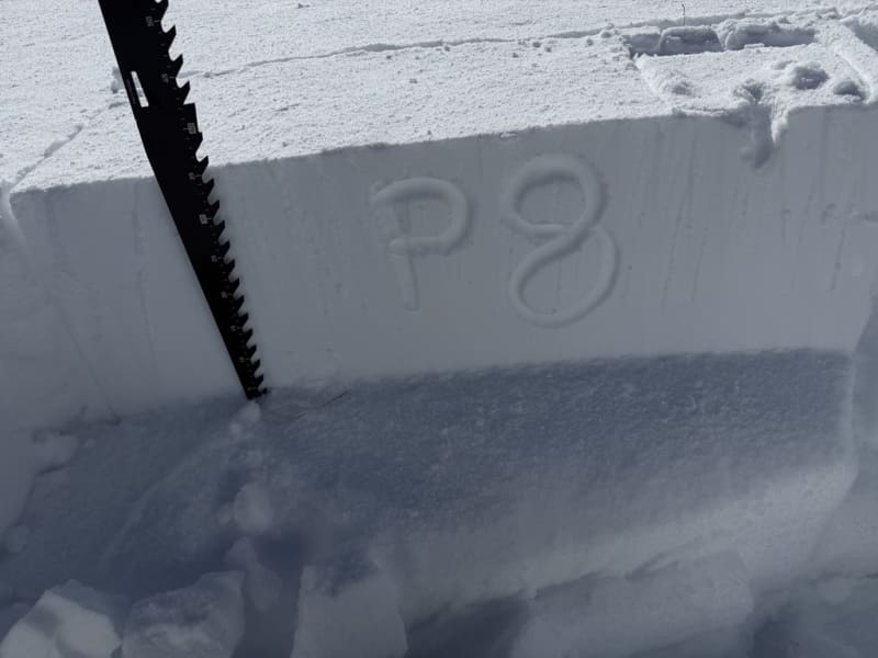 Observation photo 6