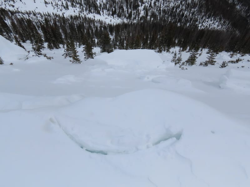 Observation photo 2