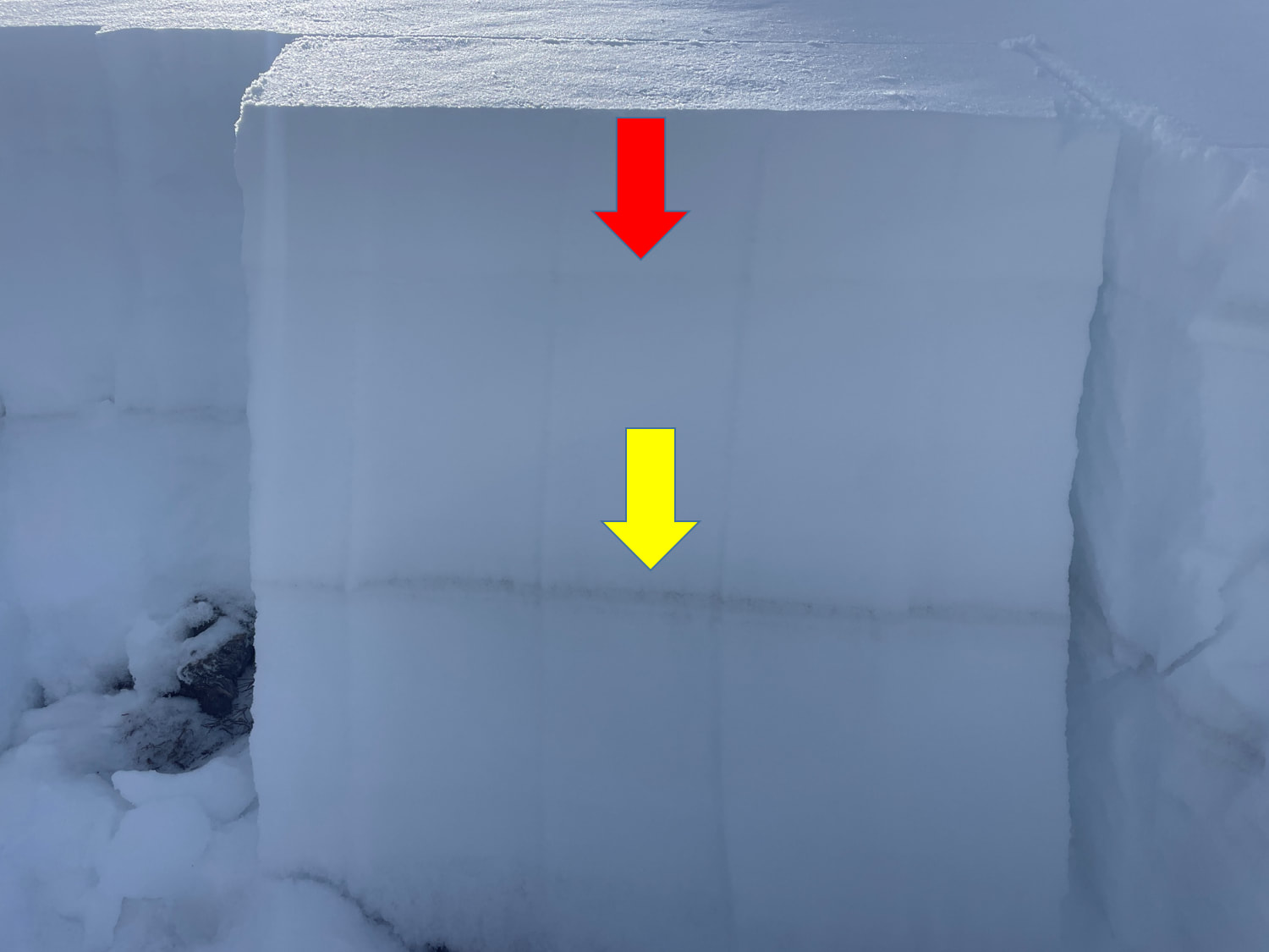 Observation photo