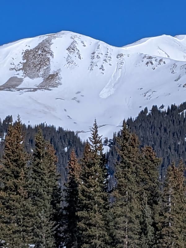Observation photo 1