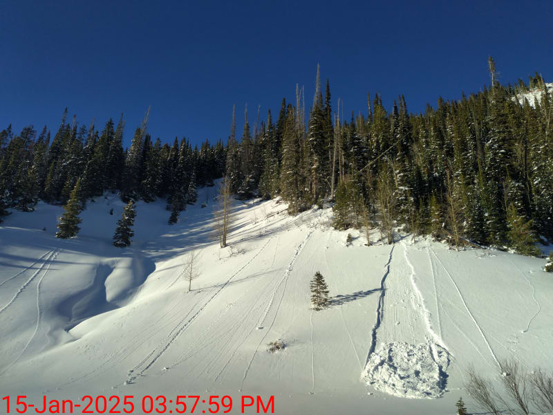 Observation photo 3