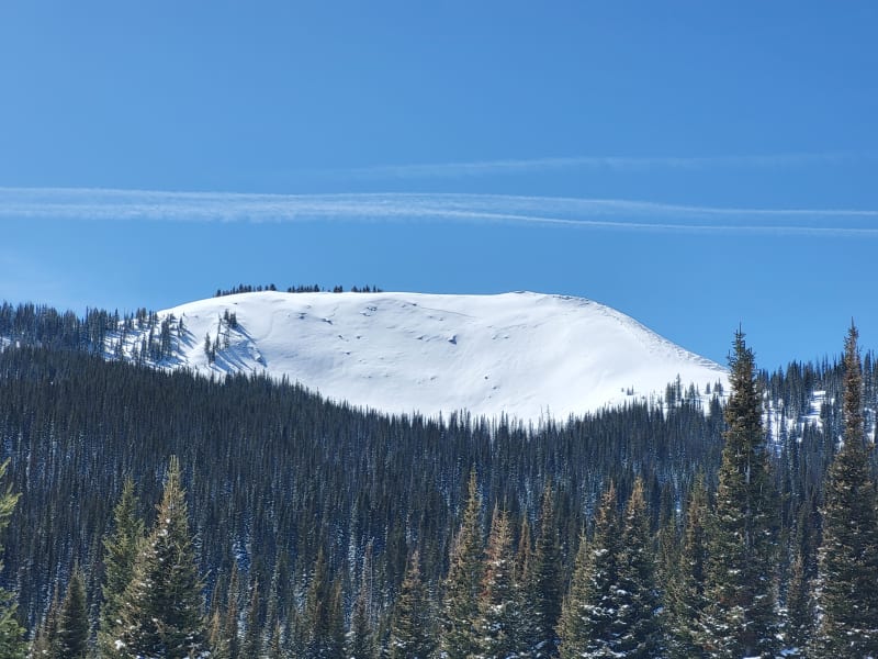 Observation photo 1