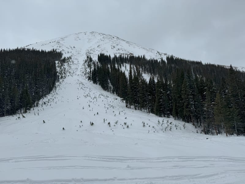 Observation photo 4