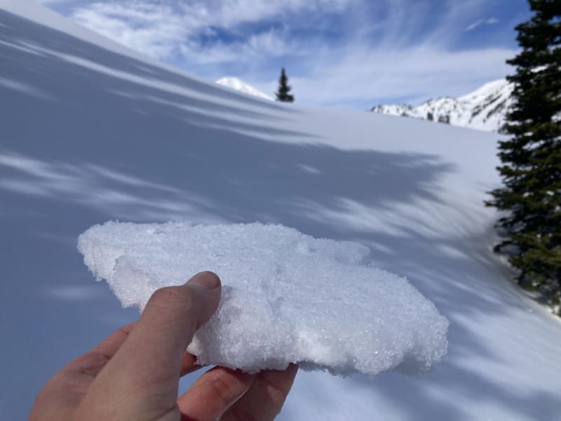 Observation photo 1
