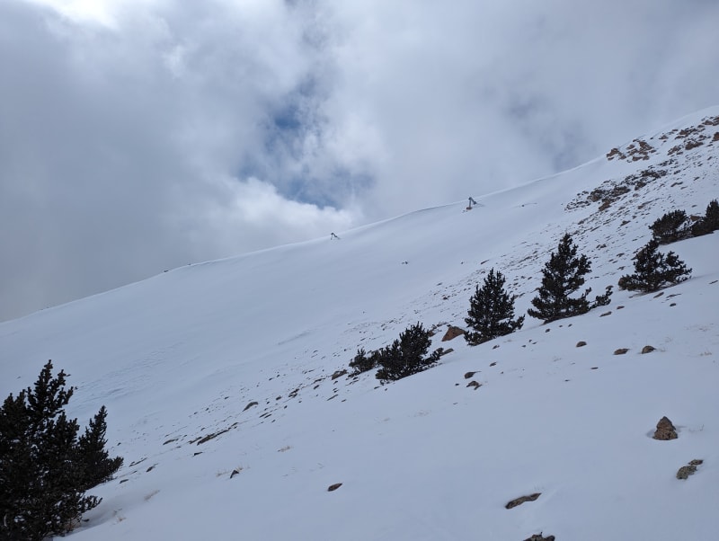 Observation photo 1