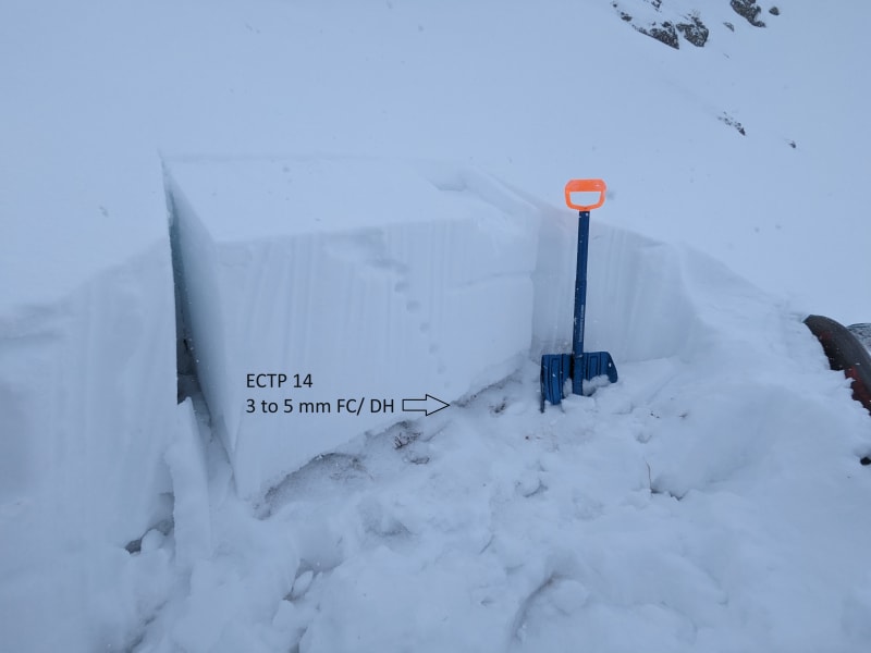 Observation photo 3