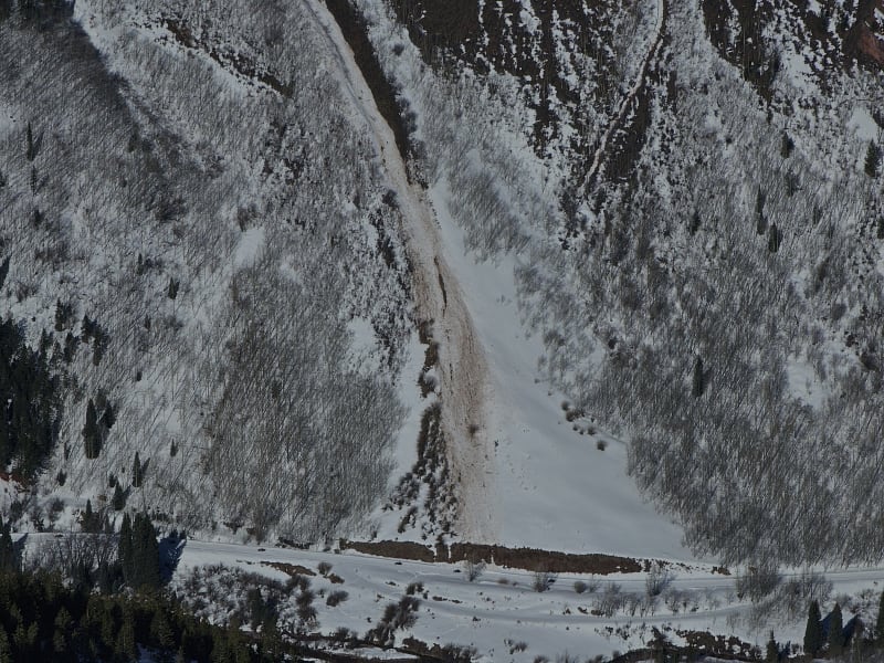 Observation photo 3