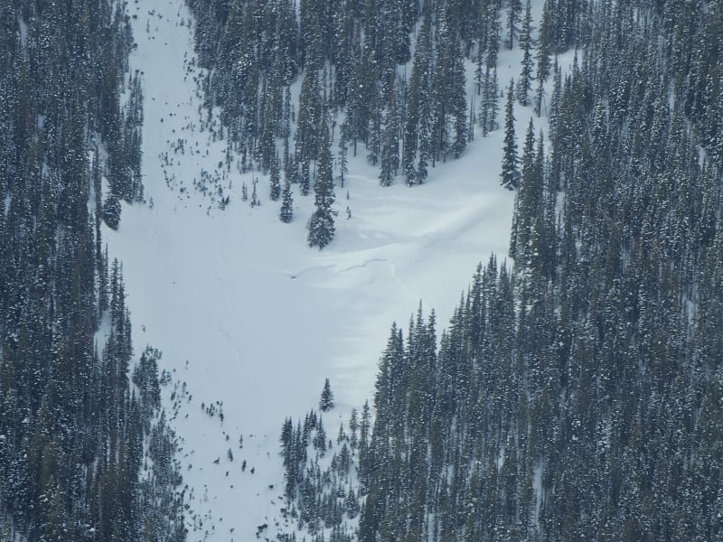 Observation photo 1