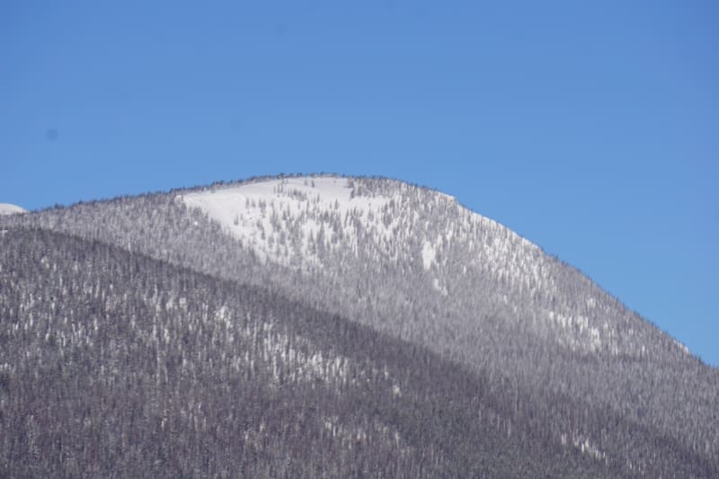 Observation photo 4