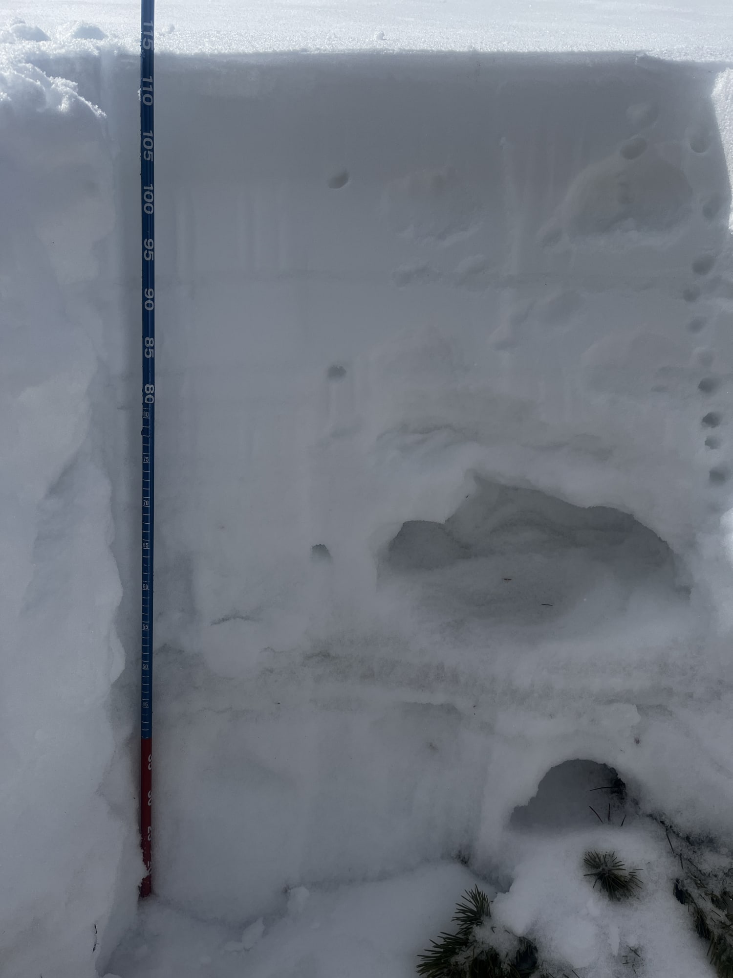 Observation photo
