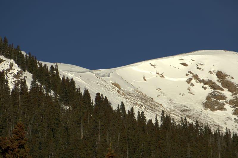 Observation photo 1