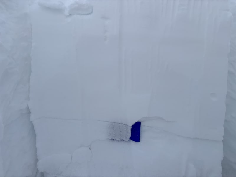 Observation photo 5