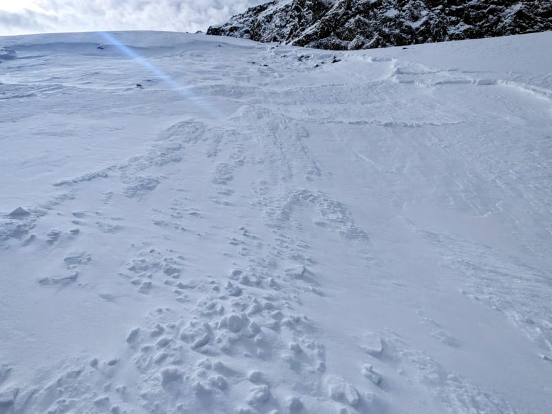 Observation photo 1