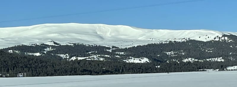 Observation photo 1