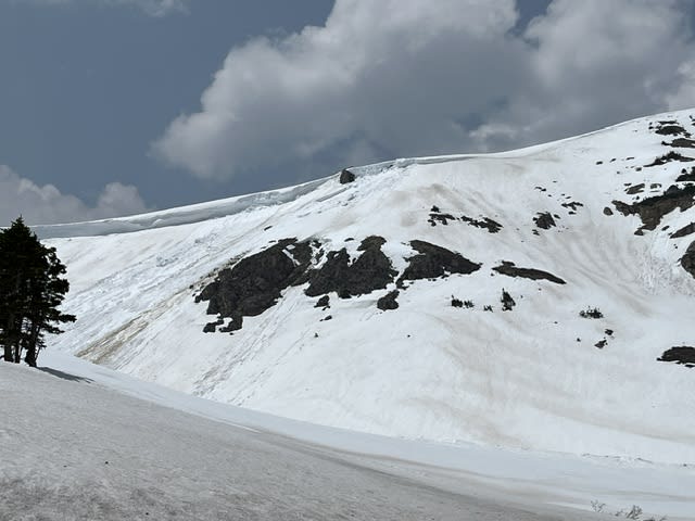 Observation photo 2
