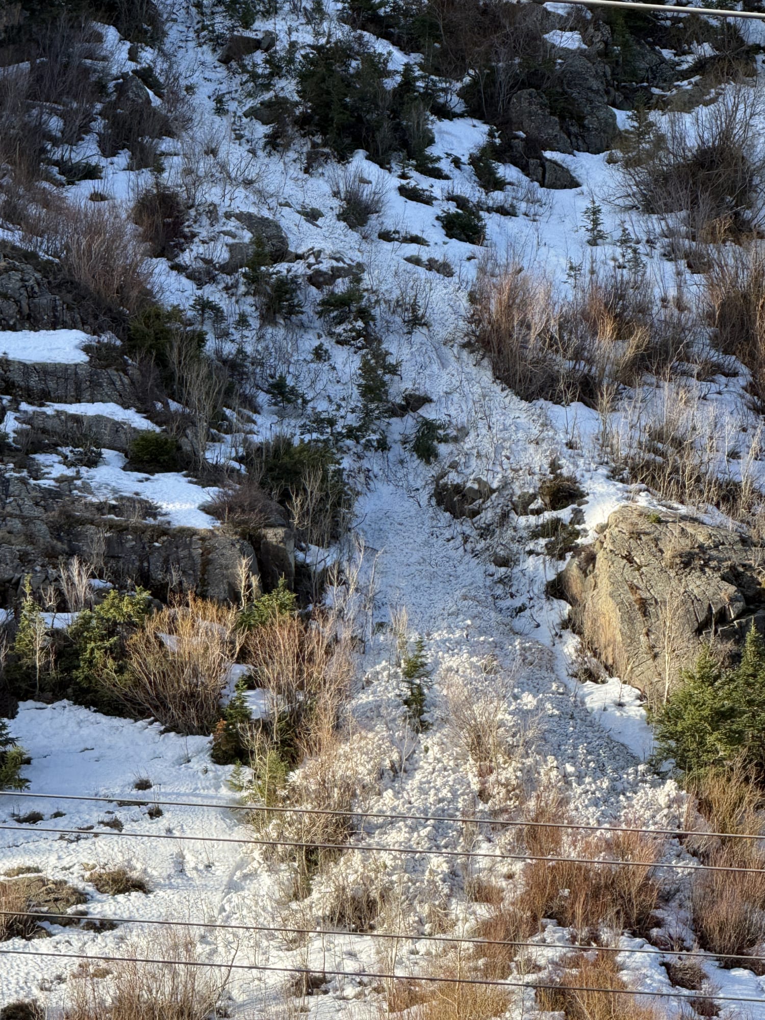 Observation photo
