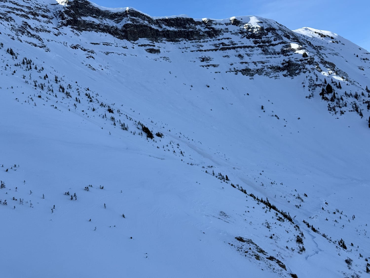 Observation photo