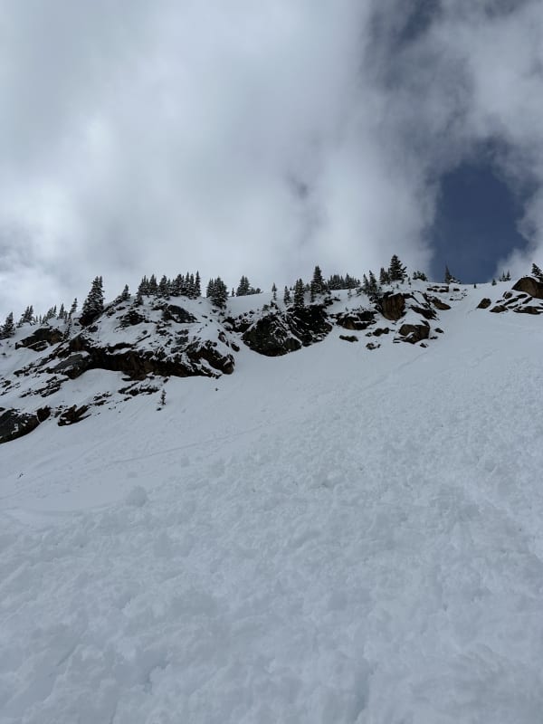 Observation photo 1