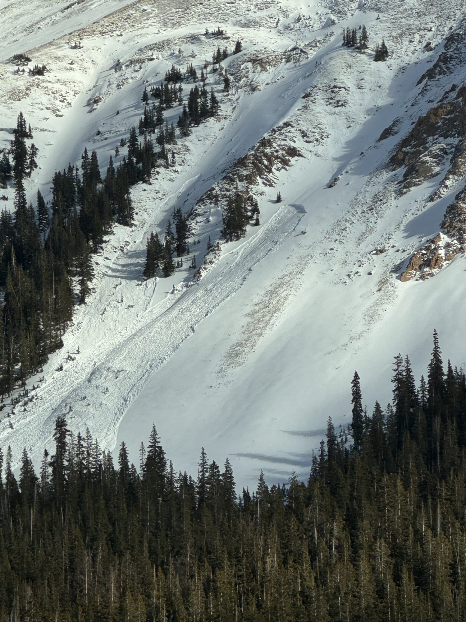 Observation photo