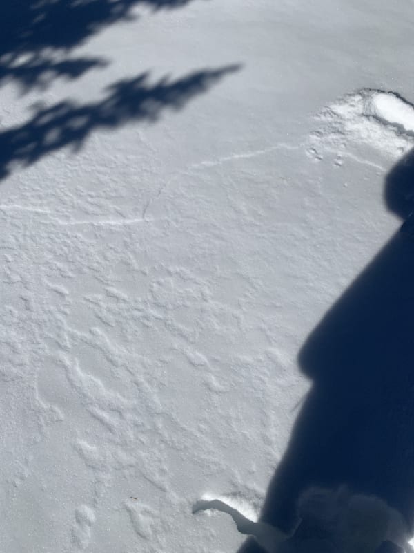 Observation photo 1
