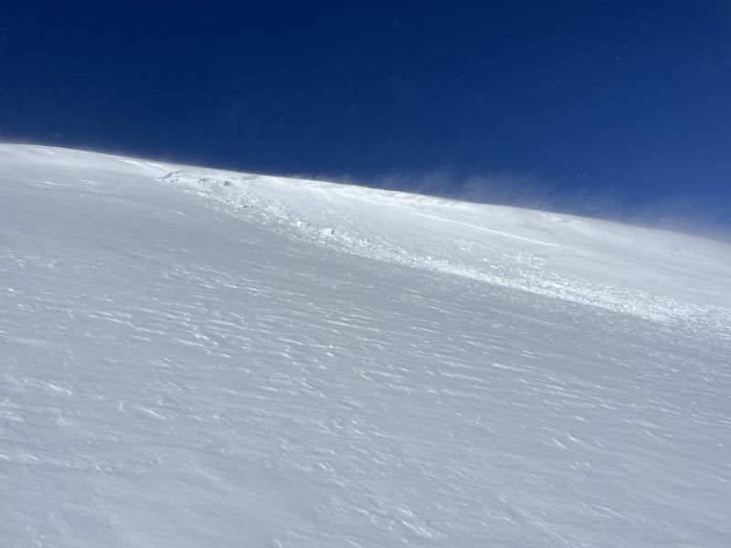 Observation photo 1