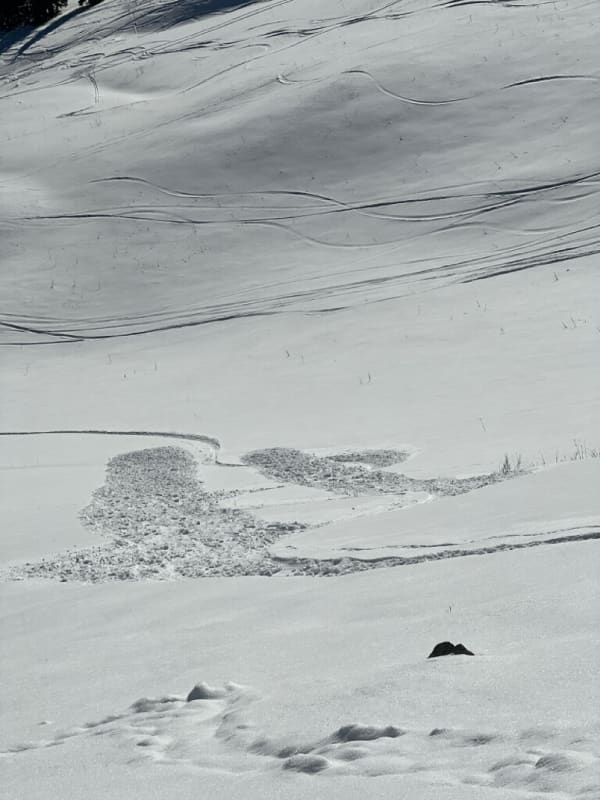 Observation photo 1