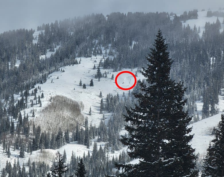 Observation photo 1