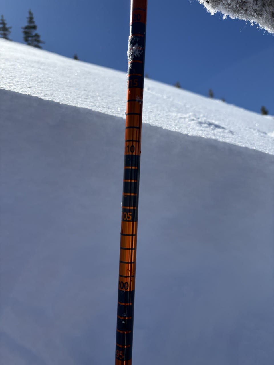 Observation photo