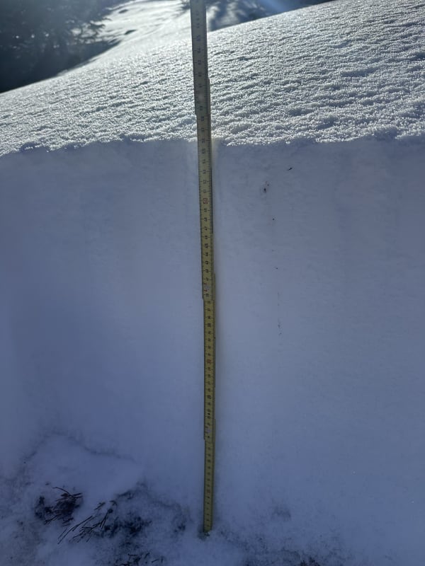 Observation photo 2