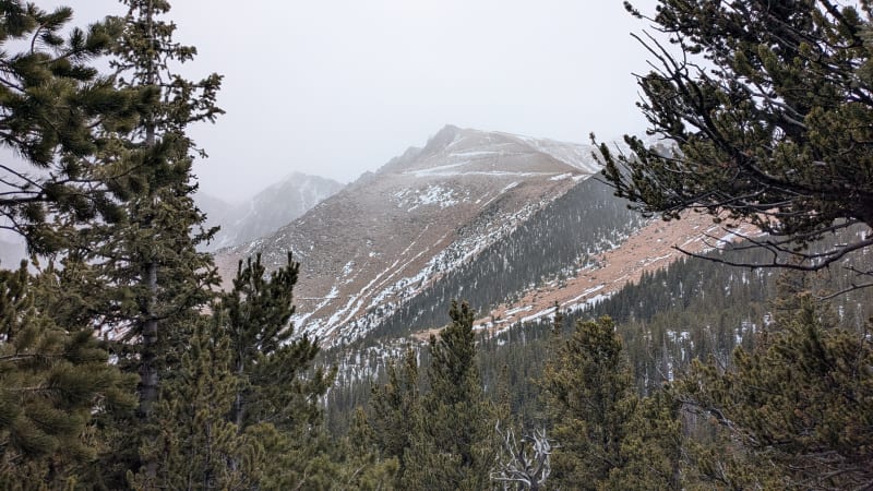 Observation photo 4