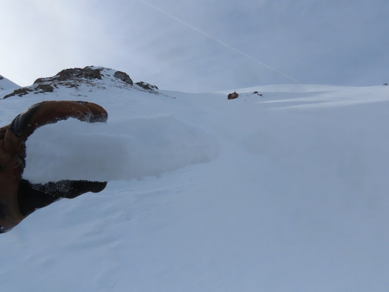Observation photo 1
