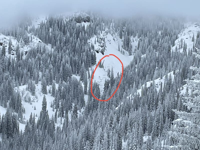 Observation photo 7