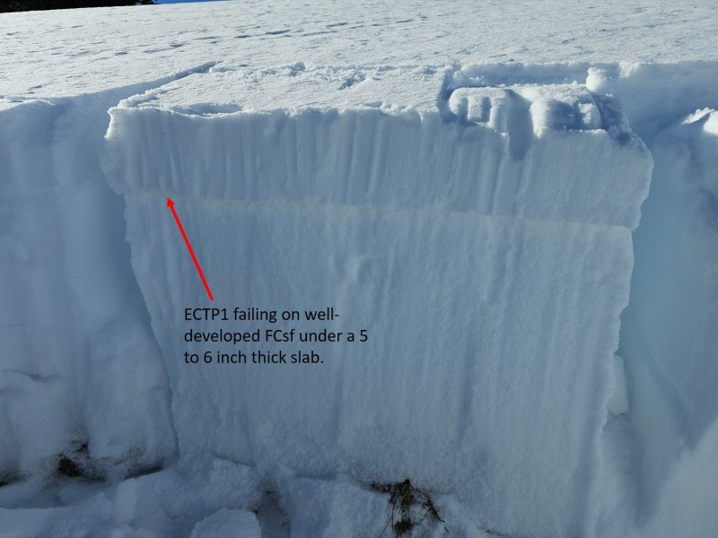 Observation photo 6