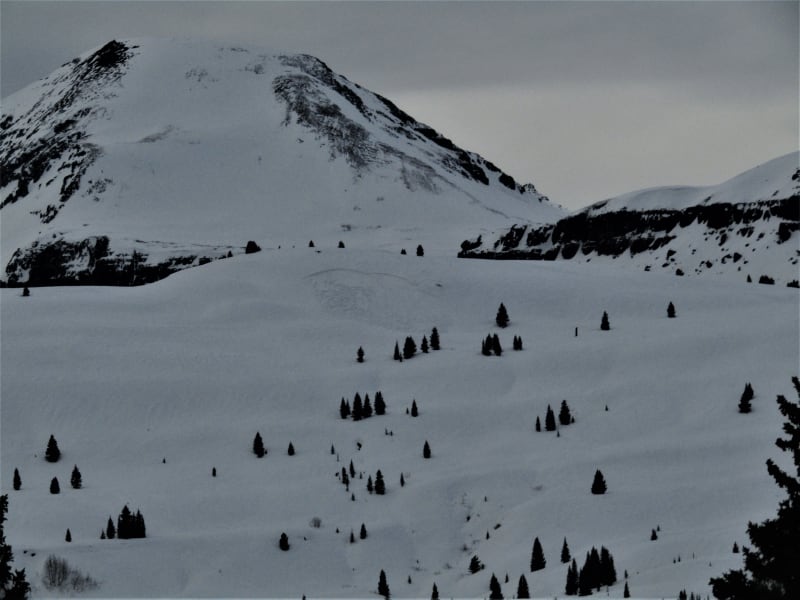 Observation photo 1
