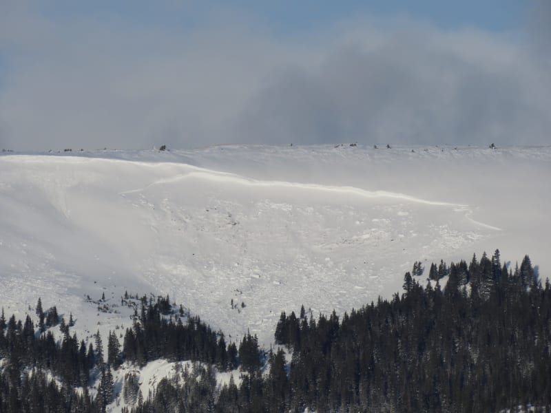 Observation photo 1