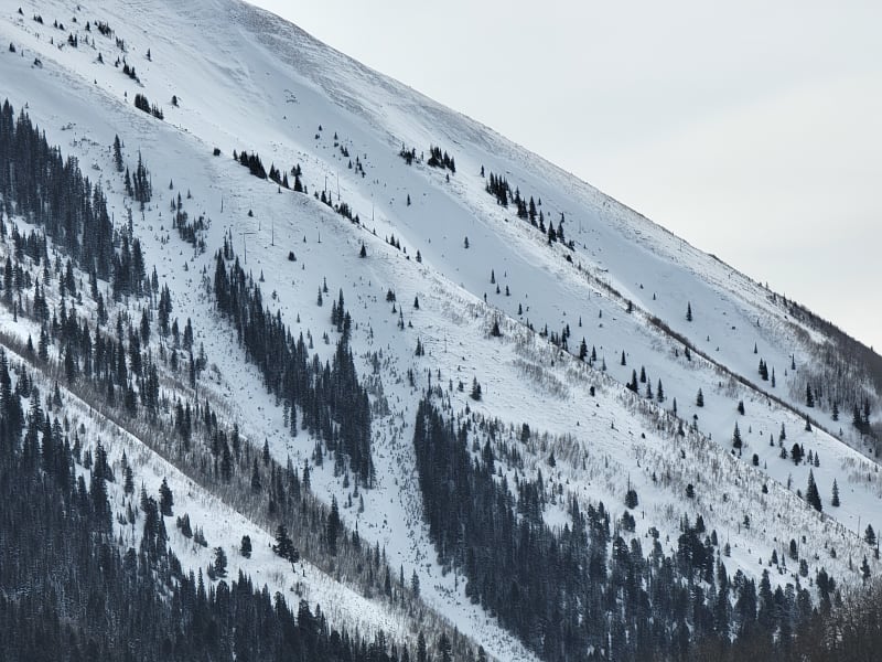 Observation photo 4