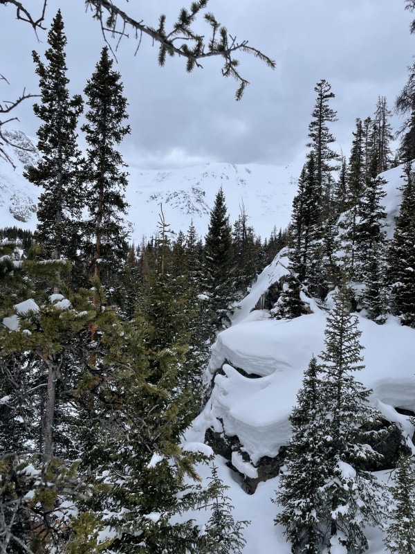 Observation photo 1