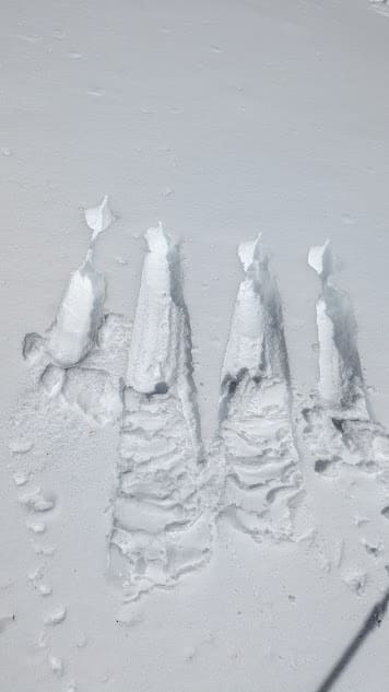 Observation photo 4