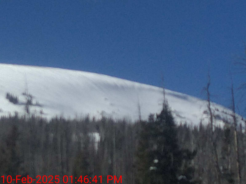 Observation photo 1