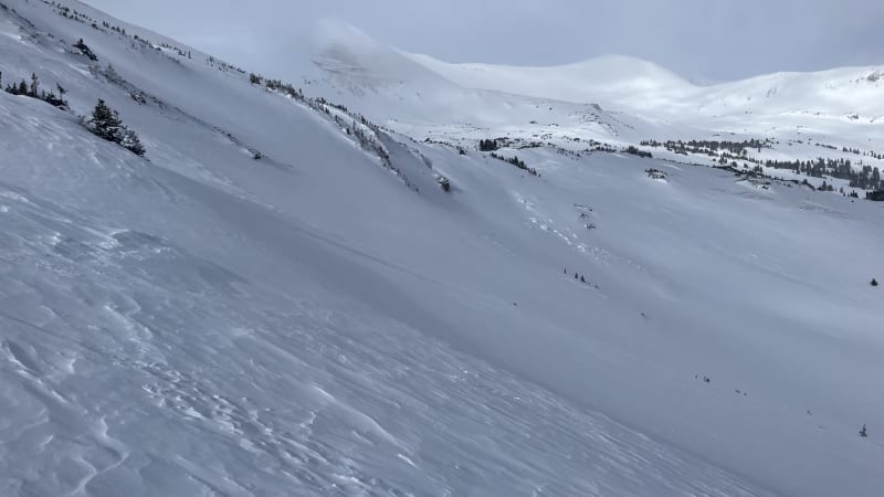 Observation photo 3