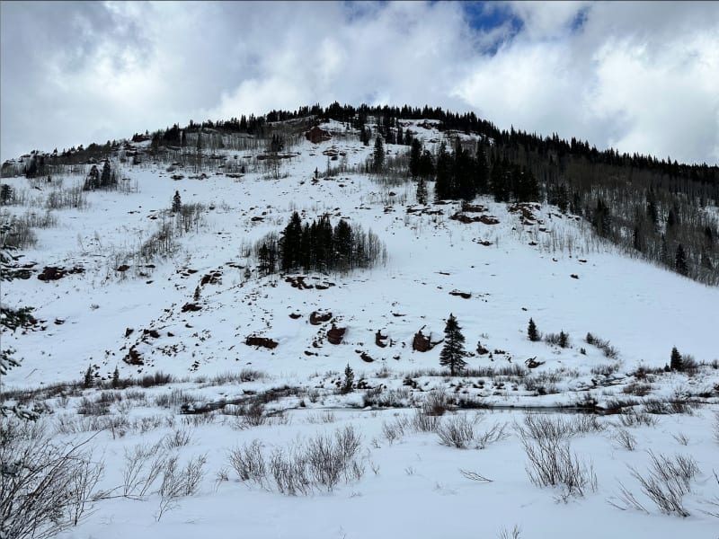 Observation photo 2