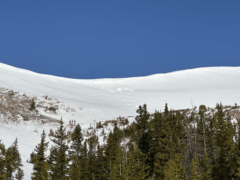 Observation photo 1