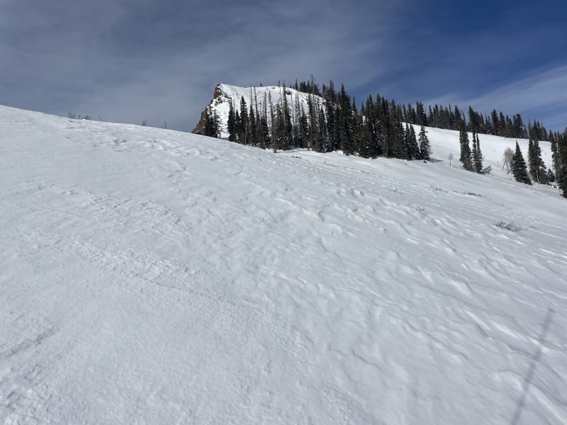 Observation photo 1